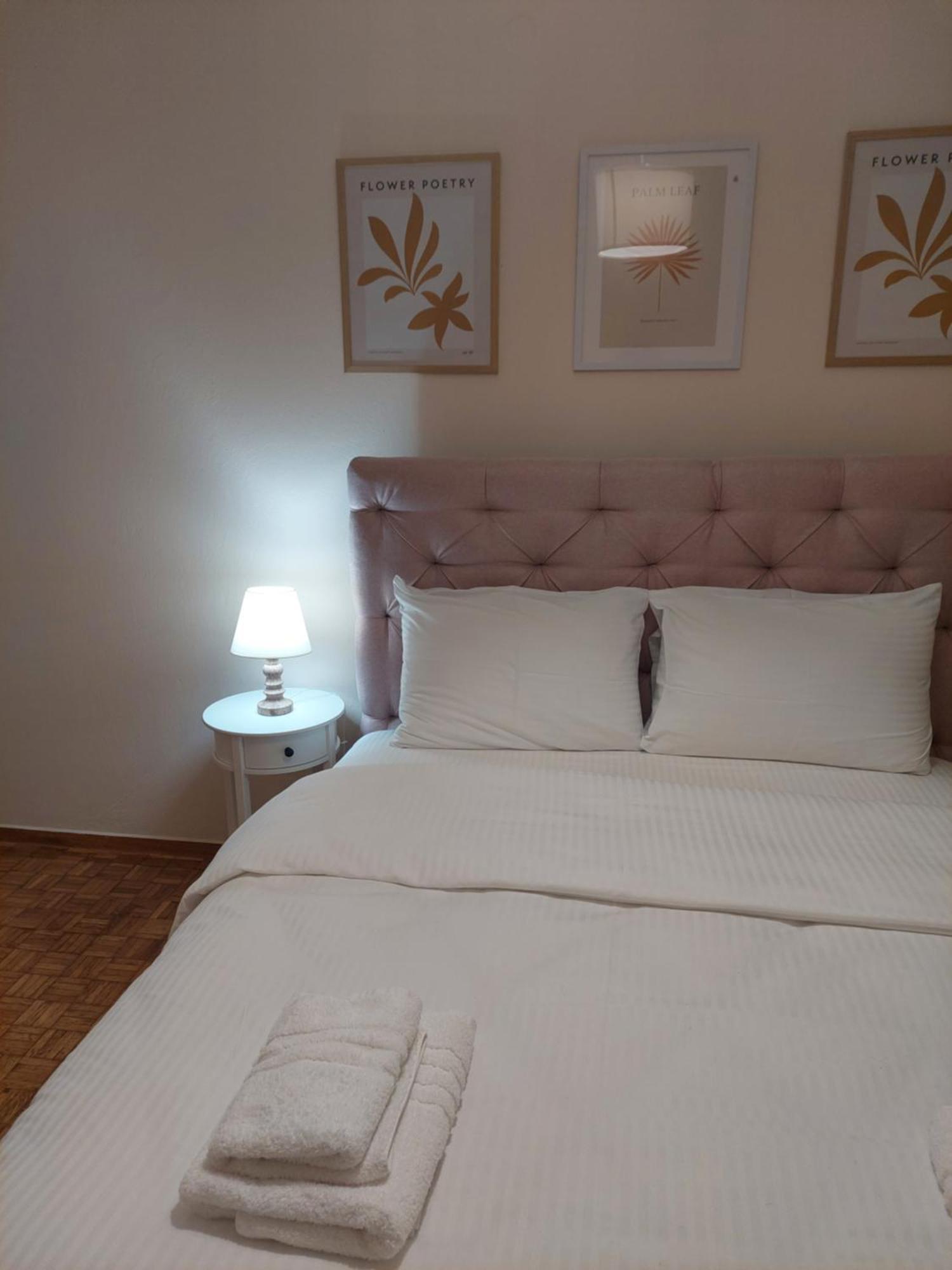 Santa Marina 3 Apartment Ioannina Bagian luar foto