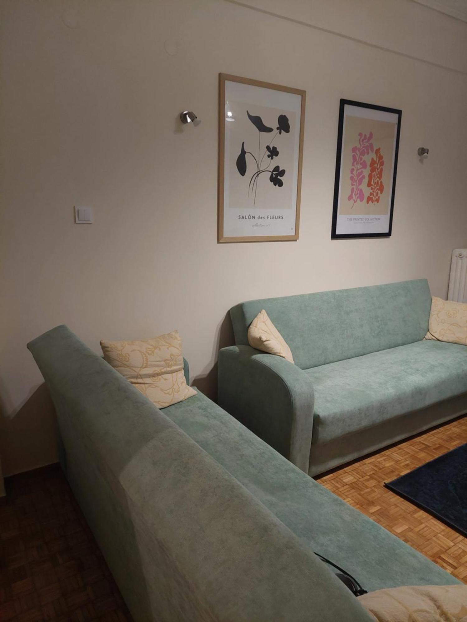 Santa Marina 3 Apartment Ioannina Bagian luar foto